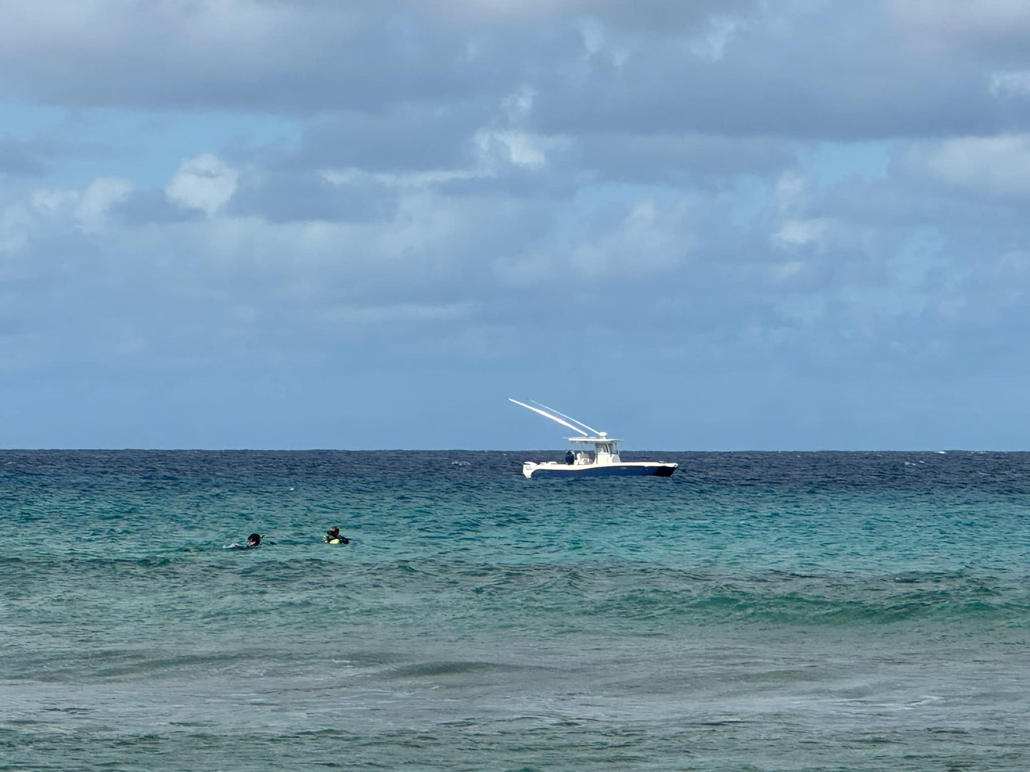 Fish & Snorkel St.Croix Combo Trip