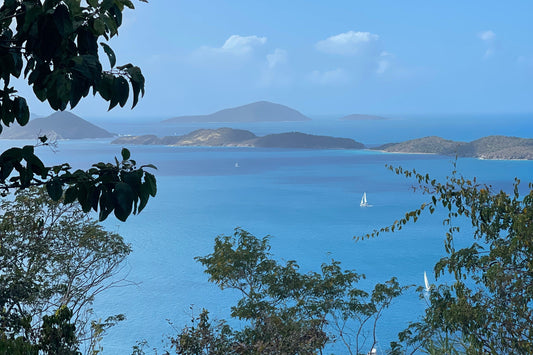 A view of islands across a body of water with a clear blue sky and some clouds, with tree branches in the foreground. St. Croix, St. Thomas, St. John. USVI