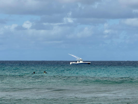 Fish & Snorkel St.Croix Combo Trip